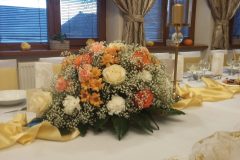 20161126_155355-scaled